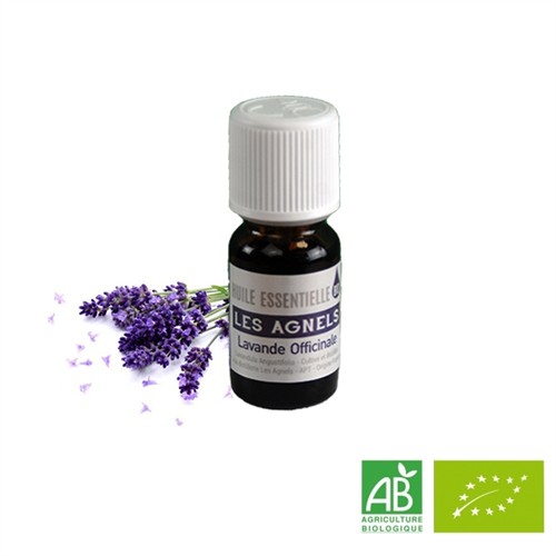 Organic True Lavender...